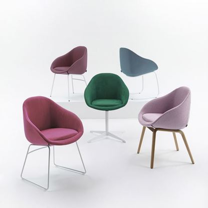 Picture of Sed in lacus ut enim